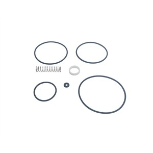 Zestaw naprawczy zaworu dolotowego