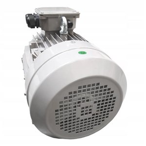 Silnik IE1 3 kW 400V